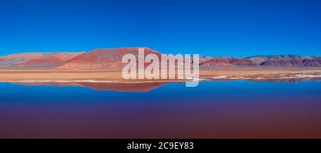 Schémas, vue aérienne, Laguna Carachi Pampa, village d'El Peñón, la Puna, Argentine, Amérique du Sud, Amérique Banque D'Images