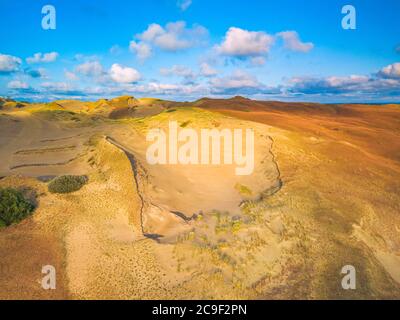 Magnifique paysage de Gray Dunes, Dead Dunes à la Curonian Spit à Nida, Neringa, Lituanie Banque D'Images