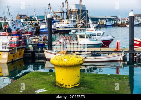 Vieux mouillage jaune et bateaux de pêche dans le petit port commercial de Howth, village de pêcheurs près de Dublin, Irlande Banque D'Images