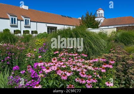 Neuhardenberg, Allemagne. 31 juillet 2020. Les fleurs fleurissent dans le jardin de la Fondation Schloss Neuhardenberg. En arrière-plan, la tour de l'église de Schinkel s'élève dans le ciel bleu. Après la pause liée à une pandémie, le Stiftung Schloss Neuhardenberg se déplace à l'extérieur avec un nouveau programme d'été à partir du 1er août 2020. Jusqu'en 23.08.2020, environ 20 événements dans le parc du château sont sur le programme. Credit: Patrick Pleul/dpa-Zentralbild/ZB/dpa/Alay Live News Banque D'Images