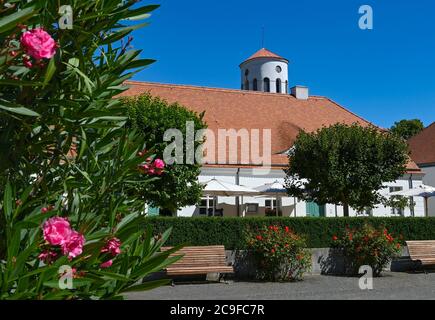 Neuhardenberg, Allemagne. 31 juillet 2020. Des rhododendrons fleurissent devant le bâtiment de la distillerie de la Fondation Schloss Neuhardenberg. En arrière-plan, la tour de l'église de Schinkel s'élève dans le ciel bleu. Après la pause liée à une pandémie, la Fondation Schloss Neuhardenberg se déplace en plein air avec un nouveau programme d'été à partir du 1er août 2020. Jusqu'en 23.08.2020, environ 20 événements dans le parc du château sont sur le programme. Credit: Patrick Pleul/dpa-Zentralbild/ZB/dpa/Alay Live News Banque D'Images