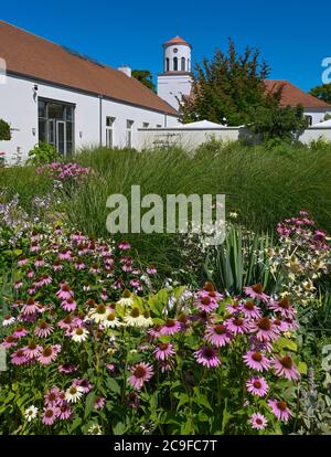 Neuhardenberg, Allemagne. 31 juillet 2020. Les fleurs fleurissent dans le jardin de la Fondation Schloss Neuhardenberg. En arrière-plan, la tour de l'église de Schinkel s'élève dans le ciel bleu. Après la pause liée à une pandémie, le Stiftung Schloss Neuhardenberg se déplace à l'extérieur avec un nouveau programme d'été à partir du 1er août 2020. Jusqu'en 23.08.2020, environ 20 événements dans le parc du château sont sur le programme. Credit: Patrick Pleul/dpa-Zentralbild/ZB/dpa/Alay Live News Banque D'Images