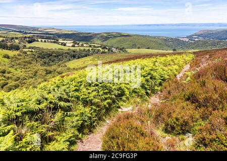 Parc national d'Exmoor - la vue vers Cluntsham depuis le chemin sur Dunkery Hill menant à Dunkery Beacon, Somerset Royaume-Uni