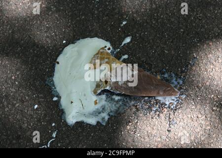 Londres, Royaume-Uni - 31 juillet 2020 Ice Cream Cone à Greenwich Park le jour le plus chaud de l'année jusqu'à présent avec des températures atteignant 35 °C (95 °F). Credit: Nils Jorgensen/Alay Live News Banque D'Images