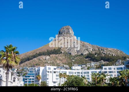 Vue sur la montagne de Lions Head avec ses bâtiments et ses palmiers sous un ciel bleu clair au Cap, en Afrique du Sud Banque D'Images