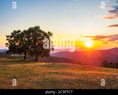 Coucher de soleil incroyable en Ombrie, Italie. Arbres et collines illuminés par le soleil couchant. Banque D'Images