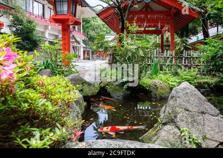 Poissons koï dans l'étang de jardin traditionnel dans un sanctuaire japonais de Shinto Banque D'Images