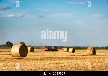 Couper le blé à l'aide d'un tracteur transportant des balles de foin Banque D'Images