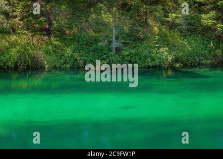 Vallée des cinq lacs, Jasper (Alberta) Banque D'Images