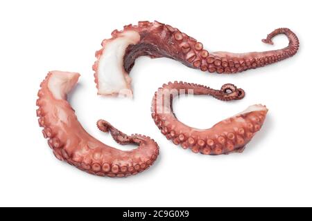 Les tentacules de poulpes fraîchement cuites se ferment sur fond blanc Banque D'Images