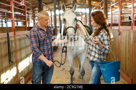 Couplez avec le seau avant de nettoyer le cheval tout en vous tenant à l'intérieur Banque D'Images