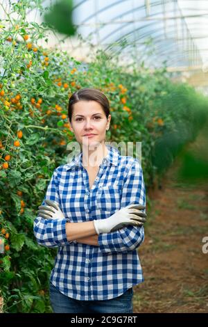 Portrait d'une jeune femme paysanne debout près de la culture de tomates cerises jaunes en serre, satisfaite de la qualité du produit Banque D'Images