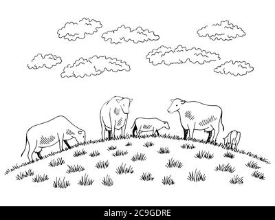 Vaches nourrissant de l'herbe sur la colline graphique noir blanc esquisse illustration vecteur Illustration de Vecteur