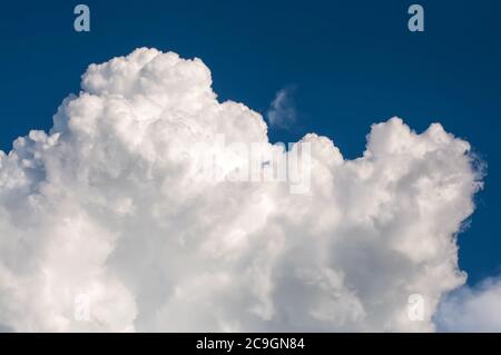Nuage blanc bouffé sur ciel bleu, nuages de pluie massifs, nuage moelleux Cumulonimbus. Banque D'Images