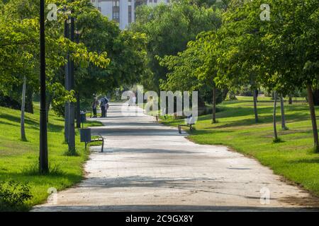 Jardins dans le vieux lit sec de la rivière Turia à Valence, promenade piétonne. Paysage de loisirs et de sport avec des arbres, Espagne Banque D'Images