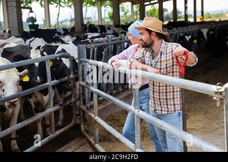 Portrait d'une famille de fermes confiante et prospère engagée dans l'élevage de vaches posant dans le cheptel Banque D'Images