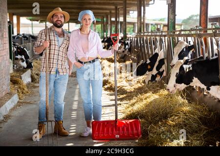 Portrait d'une famille de fermes confiante et prospère engagée dans l'élevage de vaches posant dans le cheptel Banque D'Images