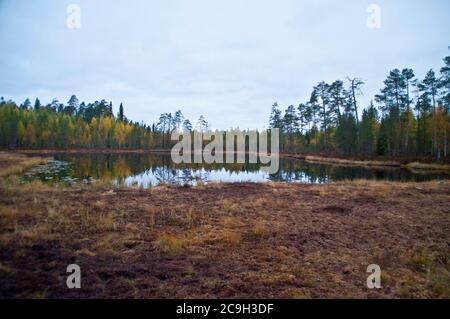 Nature dans la région de Kainuu, Finlande Banque D'Images