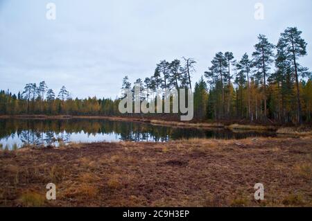 Nature dans la région de Kainuu, Finlande Banque D'Images