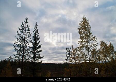 Nature dans la région de Kainuu, Finlande Banque D'Images