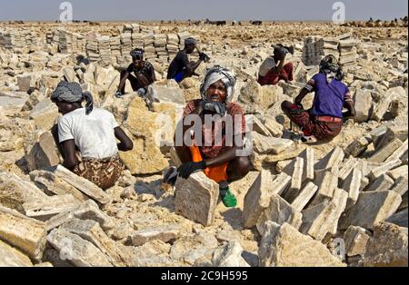 Travailleurs de sel afar coupant des blocs de sel pour le transport, extraction de sel à Assale Salt Lake près de Hamadela, Danakil Dépression, région d'Afar, Éthiopie Banque D'Images