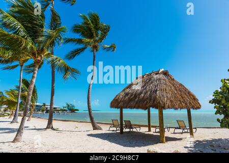 Pavillon tropical sur le sable dans une petite crique de Florida Keys, USA Banque D'Images