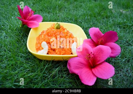 Gajar ka Halwa est un dessert à base de carottes en Inde et au Pakistan. Garni de noix de cajou et de pistache. Servi dans un bol de décoration jaune Banque D'Images