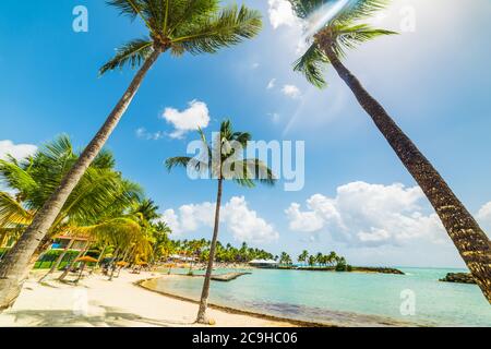 Soleil qui brille sur la plage du Bas du fort en Guadeloupe, antilles françaises. Petites Antilles, mer des Caraïbes Banque D'Images