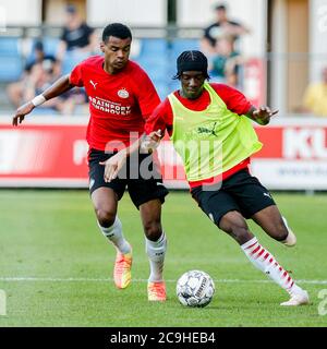 Eindhoven, pays-Bas. 31 juillet 2020. EINDHOVEN, 31-07-2020, complexe sportif de Herdgang, ai - ai. PSV jouerait contre UNA mais le jeu a été annulé en raison d'un joueur avec Corona. PSV Forward Cody Gakpo (L) et PSV milieu de terrain Noni Madueke (R) pendant le jeu PSV - PSV (1-1). Crédit : Pro Shots/Alamy Live News Banque D'Images