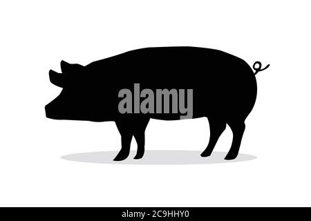 Ombre de porc sur fond blanc. Cochon de silhouette sur fond blanc. Illustration de Vecteur