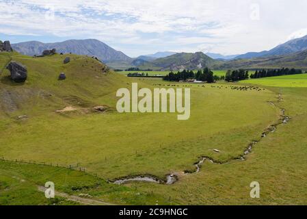 Grands rochers à Castle Hill, une attraction près du col d'Arthurs dans l'île du Sud de la Nouvelle-Zélande Banque D'Images