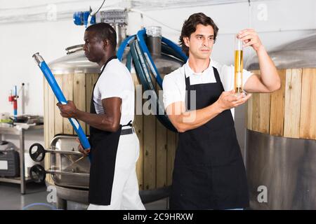 Tablier de brasseur mâle contrôle attentivement la qualité de la bière en ballon dans l'usine de brasserie Banque D'Images