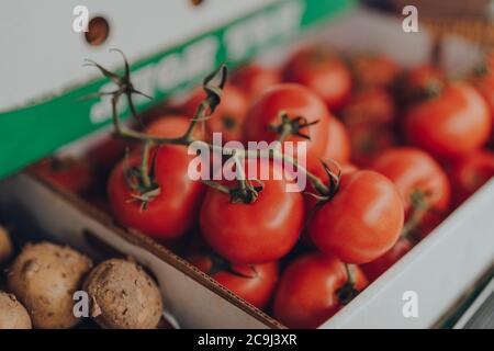 Tomates cerises rouges fraîches sur la vigne en vente sur un marché de rue, sélectif peu profond foyer. Banque D'Images