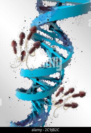 Brin d'ADN (acide désoxyribonucléique) et sperme humain, illustration. Banque D'Images