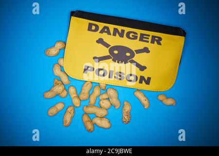 Arachides et sac avec danger poison, concept d'allergie, illustration. Banque D'Images