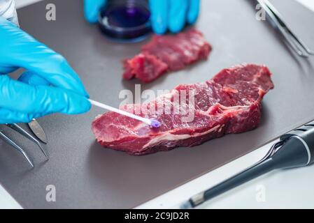 Expert en contrôle qualité inspectant la viande en laboratoire. Banque D'Images