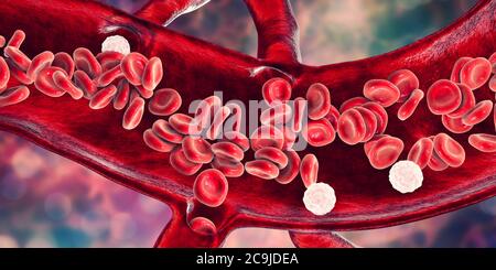 Globules rouges et leucocytes, coupe transversale d'un vaisseau sanguin, illustration informatique. Banque D'Images