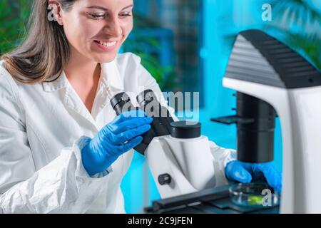 Technicien de laboratoire examinant les tissus végétaux au microscope. Banque D'Images