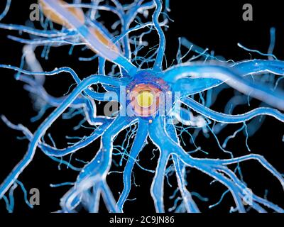 Cellule nerveuse, illustration de l'ordinateur. Banque D'Images