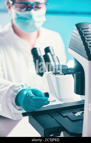 Examen d'un échantillon bactérien au microscope.