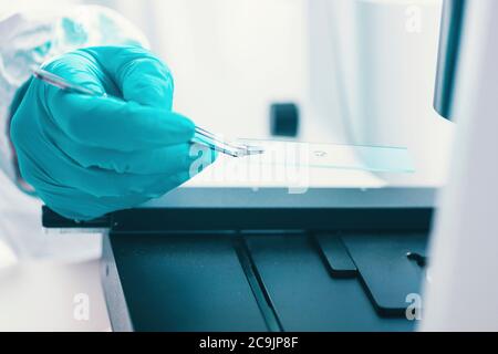 Examen d'un échantillon bactérien au microscope.