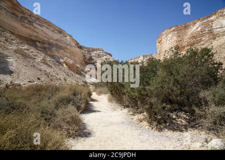 Lit de rivière sec dans le désert du Néguev, Israël. Banque D'Images