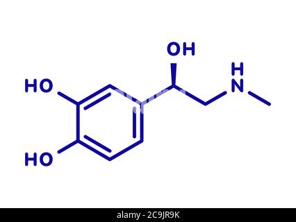 Molécule de neurotransmetteur d'adrénaline (adrénaline, épinéphrine). Utilisé comme médicament dans le traitement de l'anaphylaxie formule squelettique bleue sur fond blanc. Banque D'Images