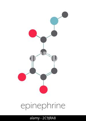 Molécule de neurotransmetteur d'adrénaline (adrénaline, épinéphrine). Utilisé comme médicament dans le traitement de l'anaphylaxie formule squelettique stylisée (structure chimique) Banque D'Images