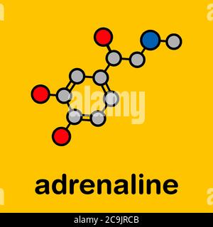 Molécule de neurotransmetteur d'adrénaline (adrénaline, épinéphrine). Utilisé comme médicament dans le traitement de l'anaphylaxie formule squelettique stylisée (structure chimique) Banque D'Images