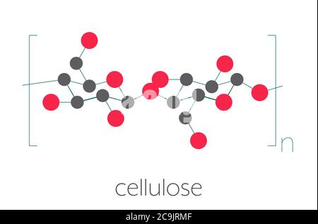 Cellulose, structure chimique. Composant principal de la fibre de coton, du bois, du papier, etc. Formule squelettique stylisée : les atomes sont représentés par des cercles de couleur con Banque D'Images