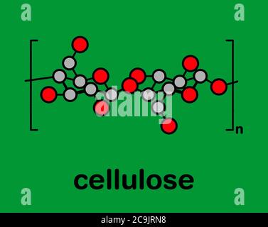 Cellulose, structure chimique. Composant principal de la fibre de coton, du bois, du papier, etc. Formule squelettique stylisée : les atomes sont représentés par des cercles de couleur avec Banque D'Images