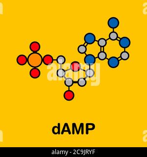 Molécule de nucléotide de désoxyadénosine monophosphate (humide). Bloc de construction d'ADN. Formule squelettique stylisée (structure chimique). Les atomes sont affichés en couleur- Banque D'Images