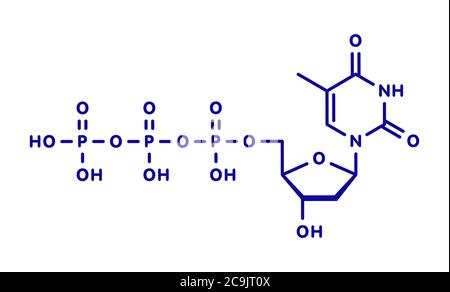 Molécule de nucléotide de thymidine triphosphate (TTP). Bloc de construction d'ADN. Formule squelettique bleue sur fond blanc. Banque D'Images