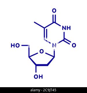 Molécule de nucléoside de thymidine (désoxythymidine). Bloc de construction d'ADN. Formule squelettique bleue sur fond blanc. Banque D'Images